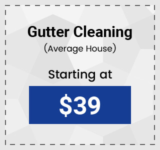 Gutter Cleaning